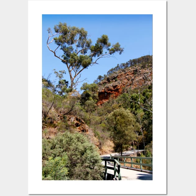 Morialta Conservation Park Trail Wall Art by jwwallace